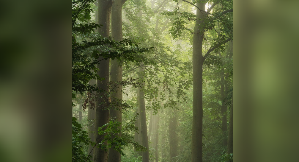 Quiet